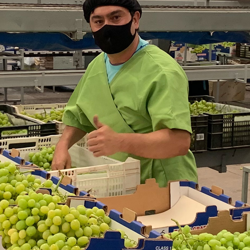 Agroservicios Copiapó